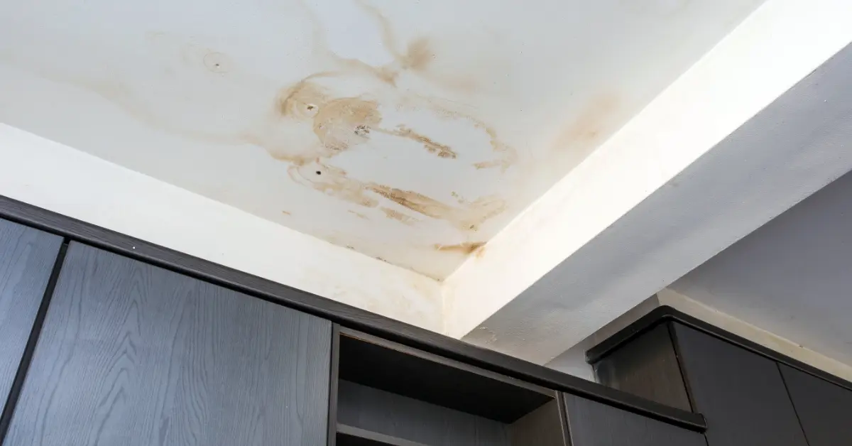 Roof Leak
