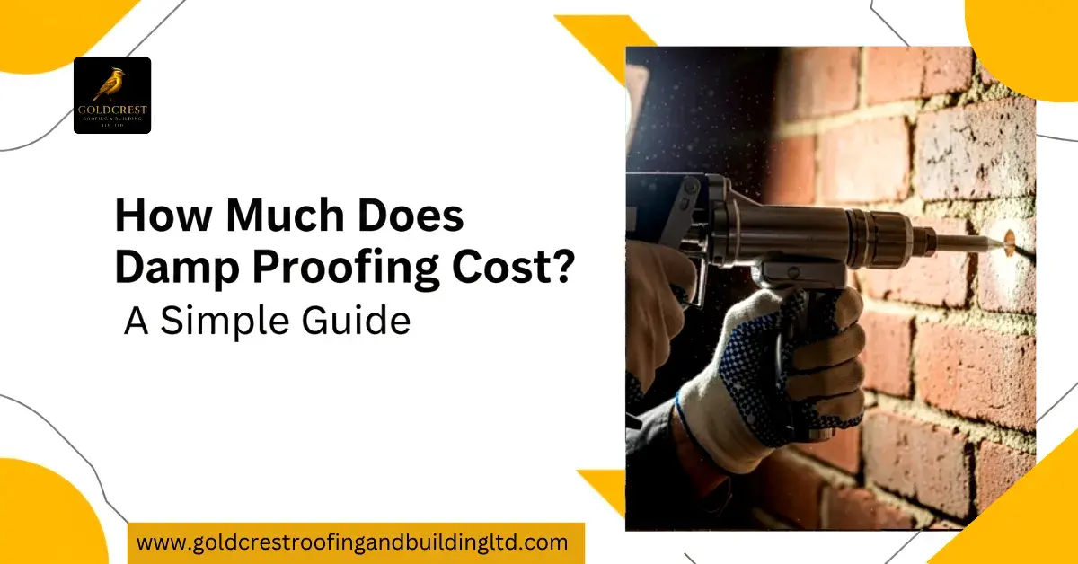 How Much Does Damp Proofing Cost?