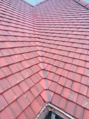 Roofing in Ladywell