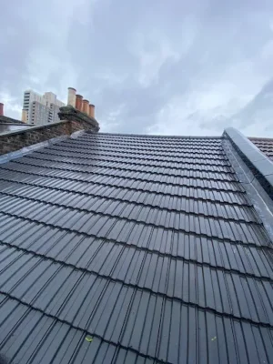 roofers in Hither Green